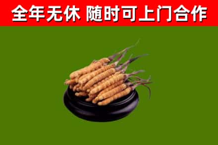 茂县烟酒回收冬虫夏草.jpg